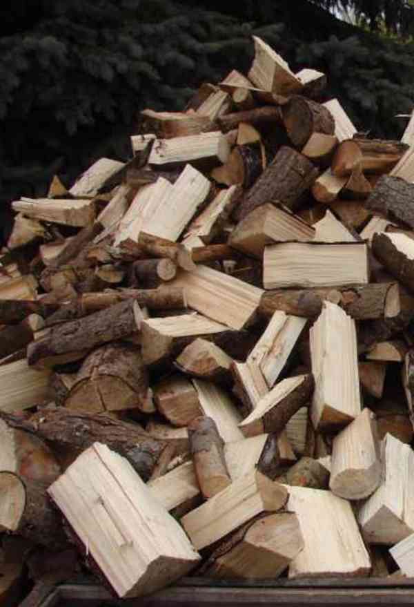 Měkké palivové dřevo