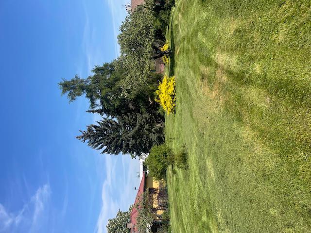 Klánovice stavební pozemek 1160m2 - foto 3