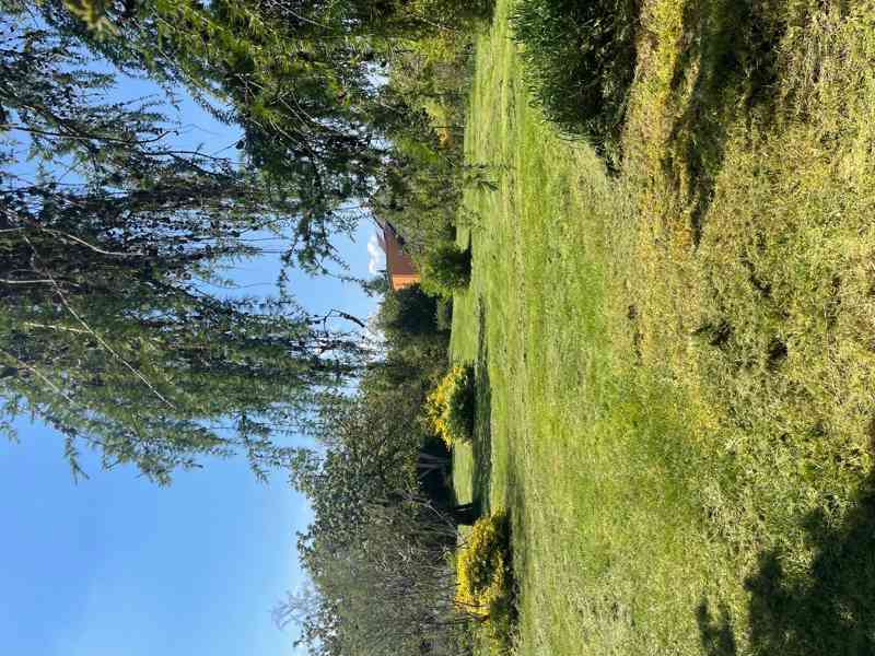 Klánovice stavební pozemek 1160m2 - foto 2