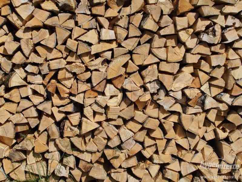 Prodám palivové dřevo-Levně Skladem - foto 1