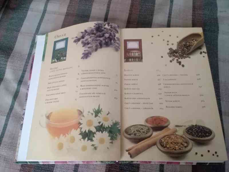 Zdraví z babiččiny lékárny - foto 3