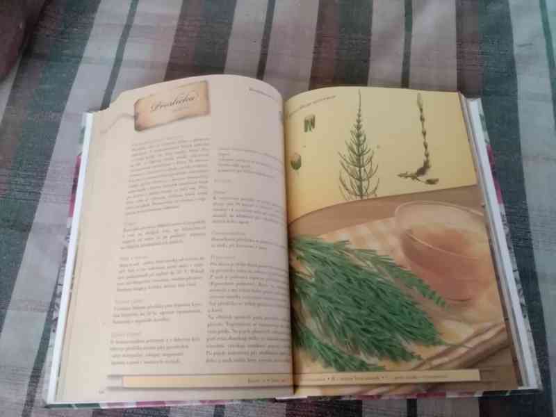 Zdraví z babiččiny lékárny - foto 6