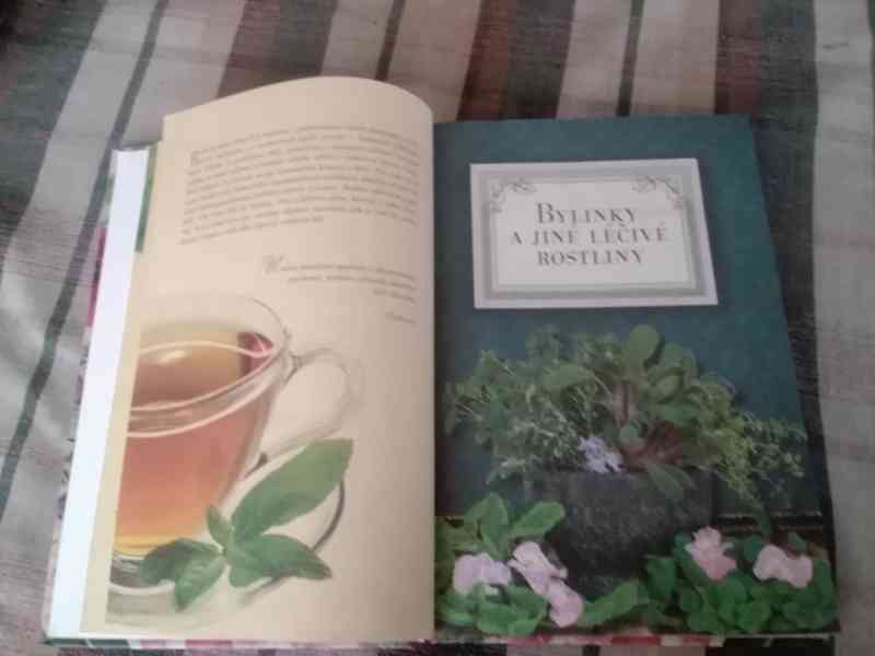Zdraví z babiččiny lékárny - foto 4
