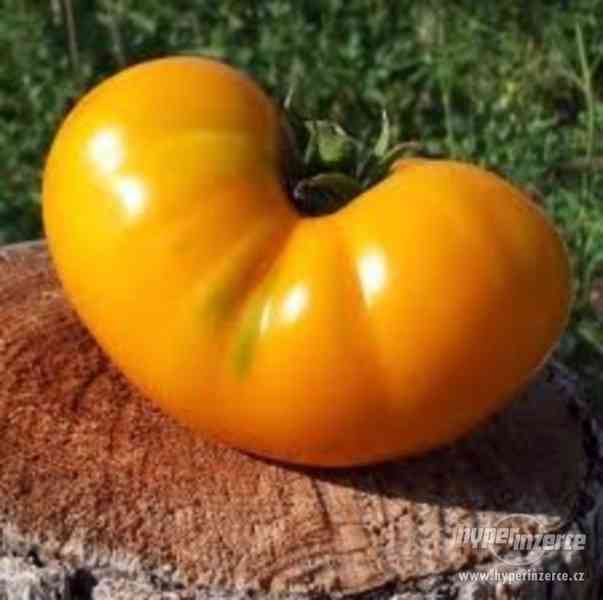 rajče Azoychka - semena - foto 1