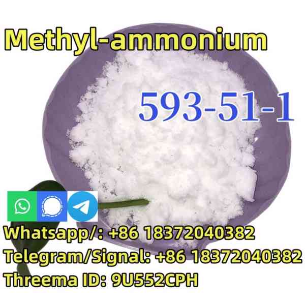 CAS 593-51-1 Methylamine hydrochloride LT-S9151 good price 