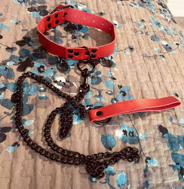 Dog play, Footfetish, lízání bot.  - foto 2