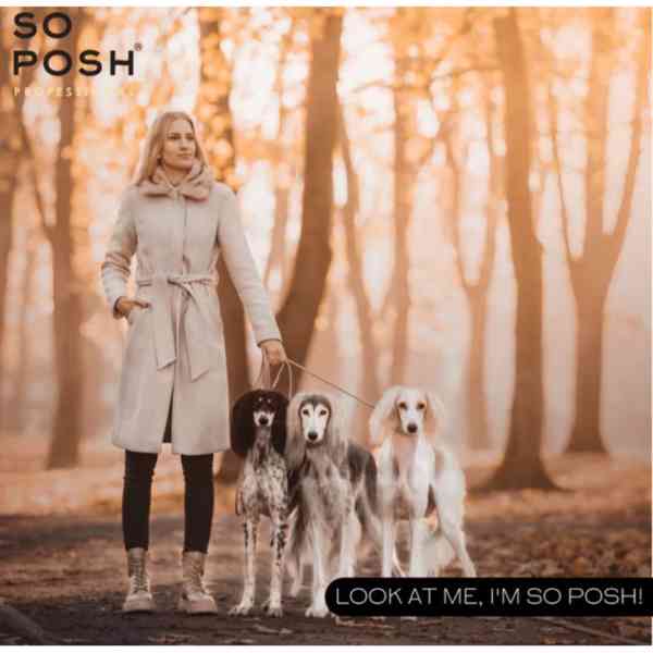 So Posh Bezoplachový kondicionér pro hedvábnou srst  - foto 2