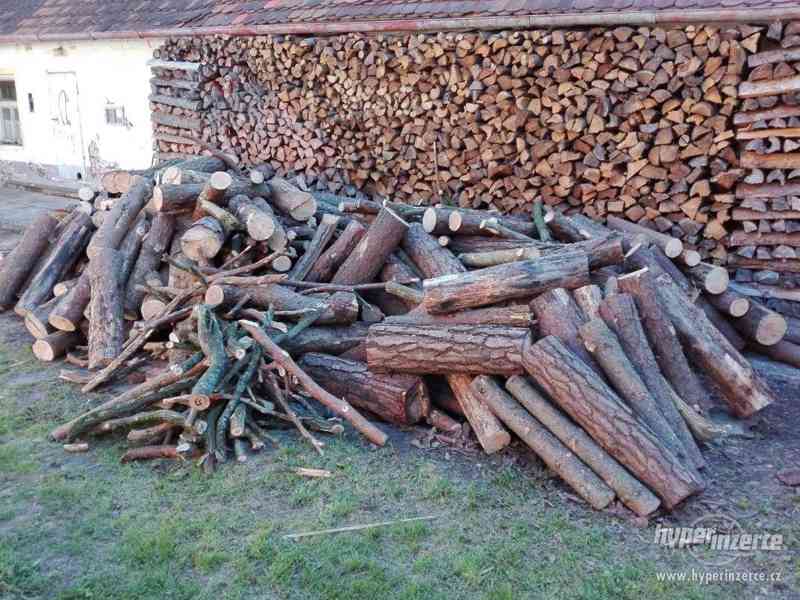 Dřevo na palivo - foto 1