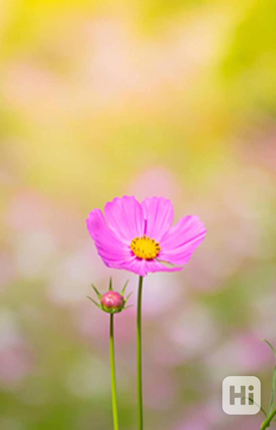 hfthftfhfjyfjygjy - foto 1