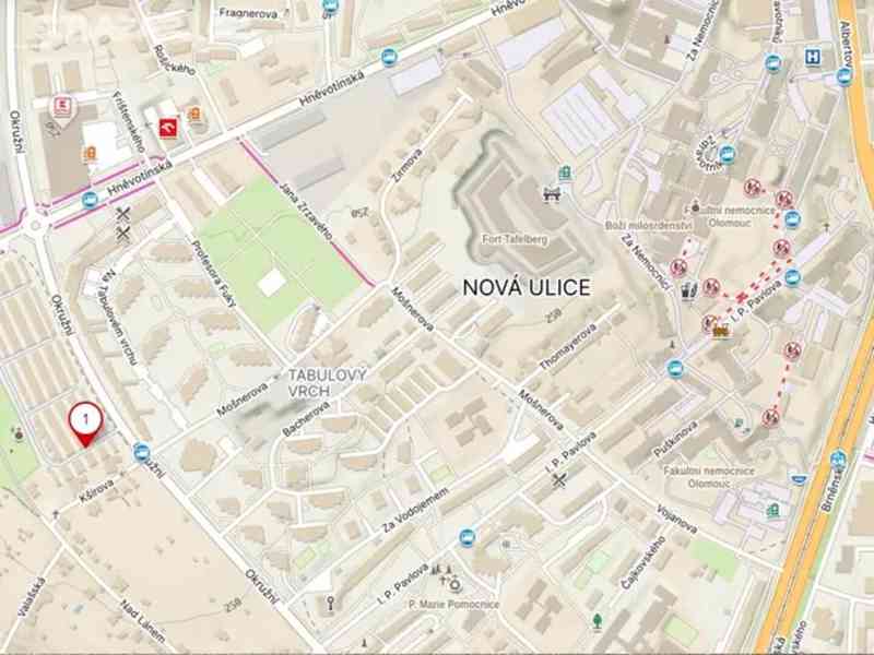 Sdílený pronájem garáže (Olomouc-Tabulový vrch) - foto 2