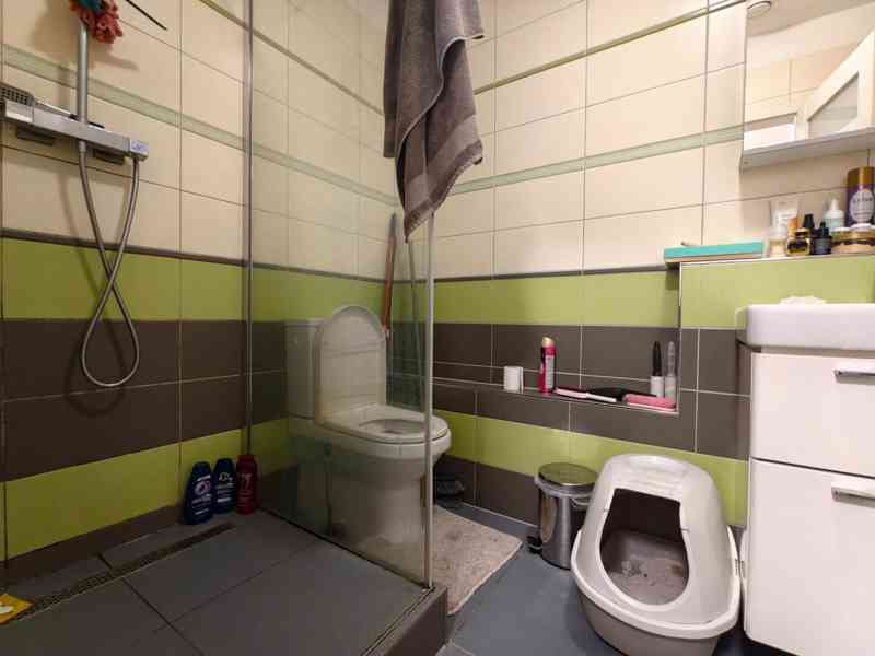 Pronájem 2+kk, 50m2+park.+skl. (LBC centrum, ul. Tatranská)  - foto 4