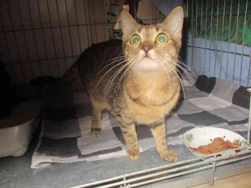 Budou mít štěstí? - foto 2