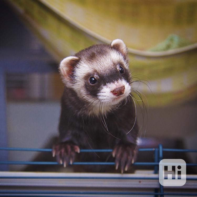 Veronika Straňáková - foto 1