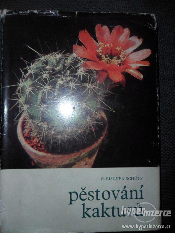 Prodám knihy o pěstování - ovocné stromy, kaktusy, bonsaje - foto 3