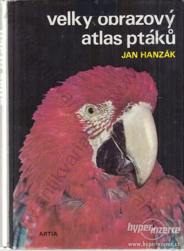 Velký obrazový atlas ptáků Jan Hanzák Artia 1974 - foto 1