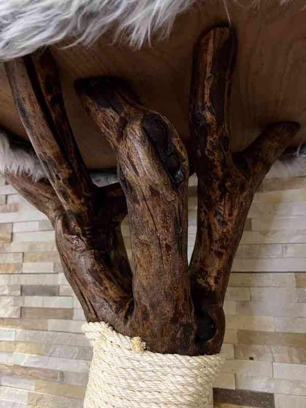 Kočičí strom  - foto 2