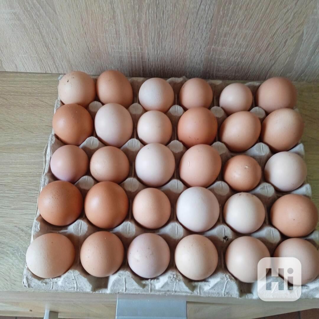 domácí vajíčka - foto 1