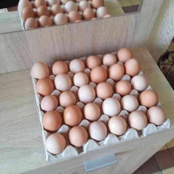 domácí vajíčka - foto 2