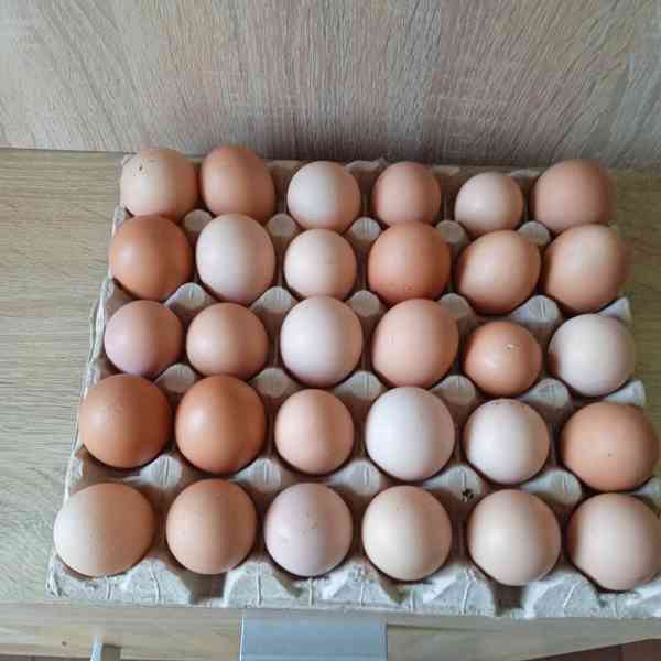 domácí vajíčka - foto 1