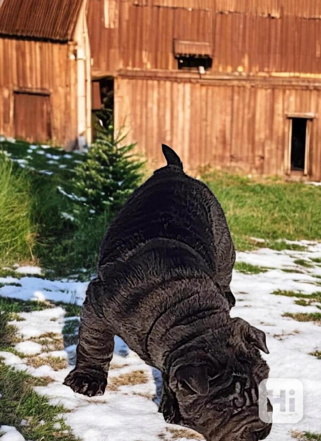 Ebenový mini šarpej - foto 1