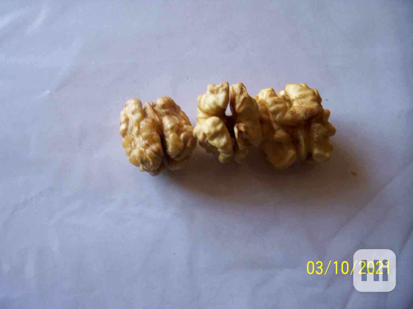  Čerstvé Vlašské ořechy exkluzivně loupané ,jako celá jádra  - foto 1