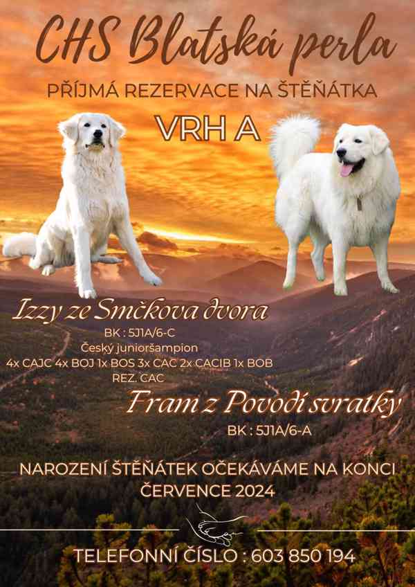 Rezervace štěňat Slovenského čuvače - foto 1