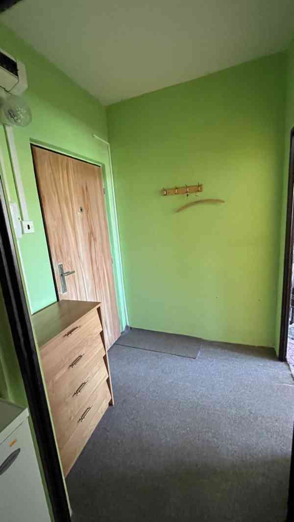 Prodej bytu 2+1, 57 m², 2NP, Horní Planá v okr. Český Krumlo - foto 13