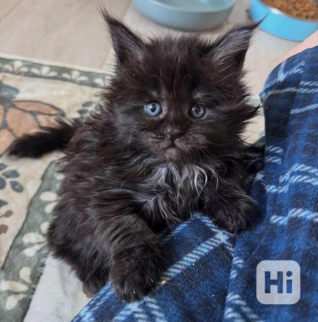 frohe weihnachten - foto 1