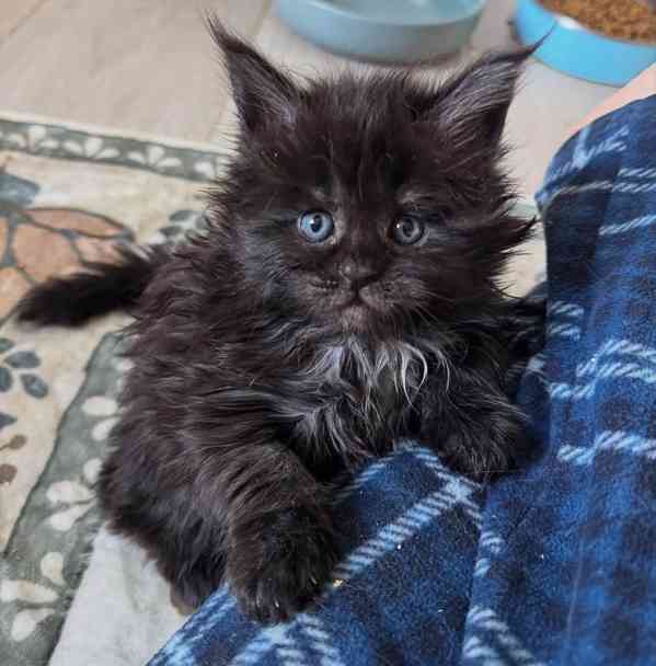 frohe weihnachten - foto 1