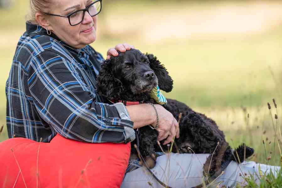 SAZÍNEK - kastrovaný kříženec pudla 13 kg, 13 let - foto 3