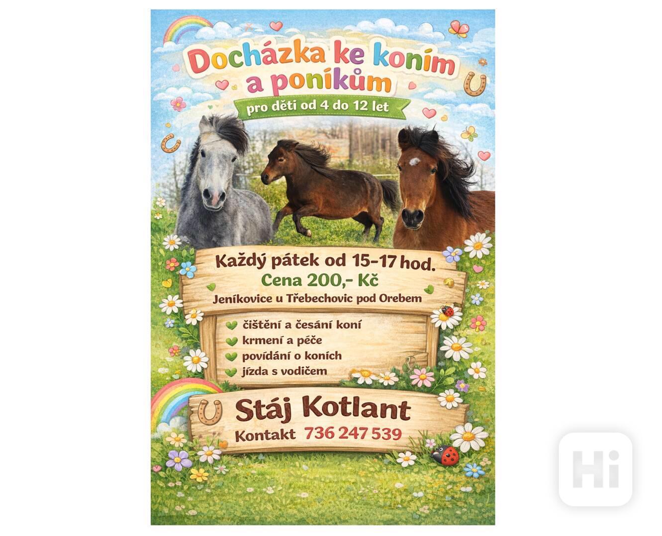 🐎 Docházka ke koním a poníkům pro děti od 4let  - foto 1