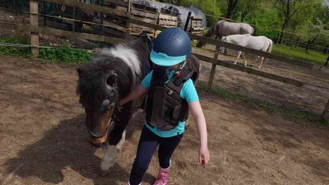 🐎 Docházka ke koním a poníkům pro děti od 4let  - foto 2