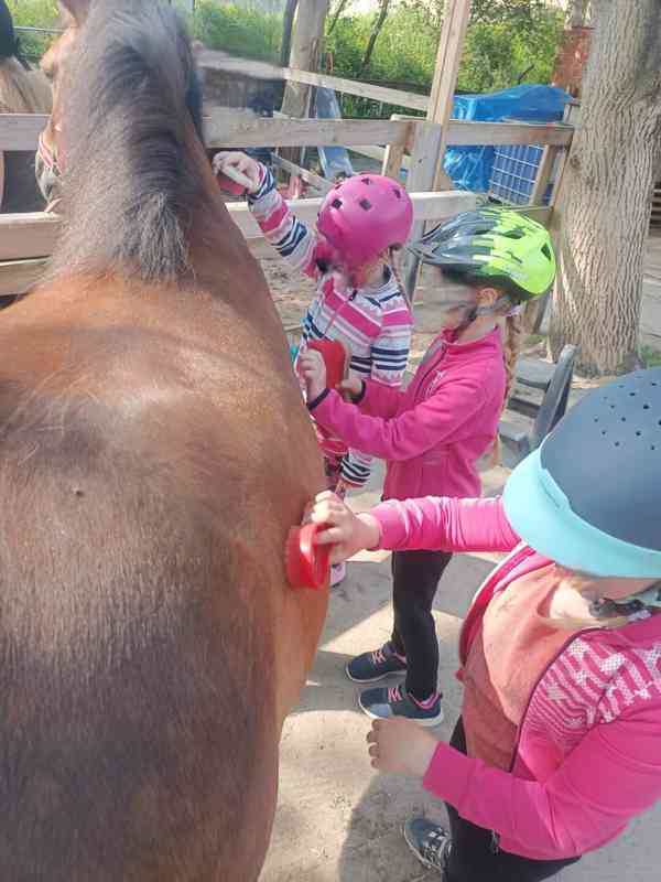 🐎 Docházka ke koním a poníkům pro děti od 4let  - foto 4
