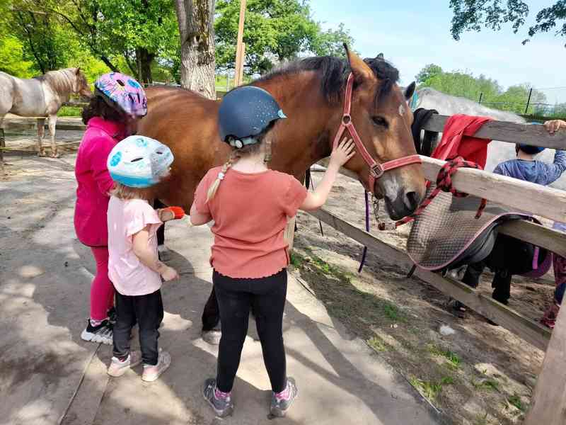 🐎 Docházka ke koním a poníkům pro děti od 4let  - foto 5