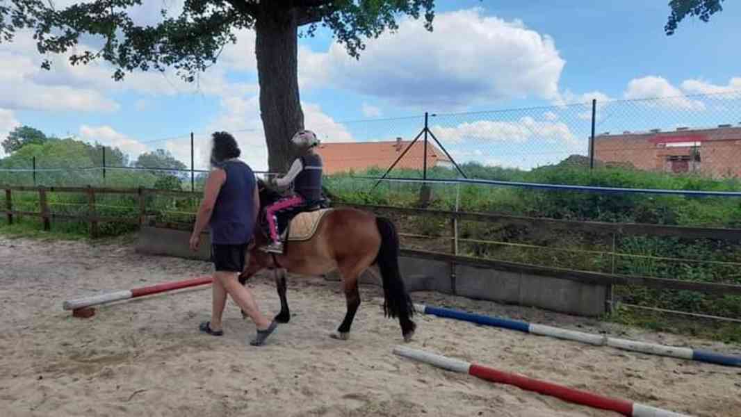 🐎 Docházka ke koním a poníkům pro děti od 4let  - foto 7