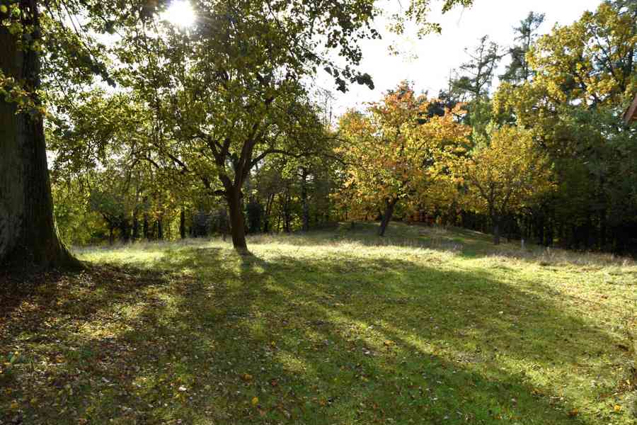 Ohnišov - prodej domu s dispozicí 3+kk a pozemky 4000 m2 - foto 8
