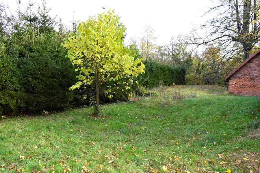 Ohnišov - prodej domu s dispozicí 3+kk a pozemky 4000 m2 - foto 9