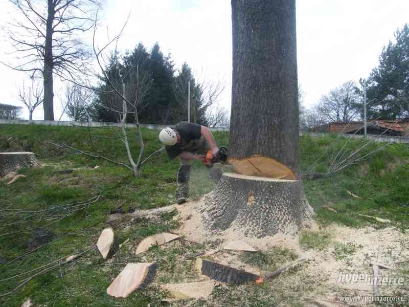 Kácení stromů Jihlava , Rizikové kácení - foto 2