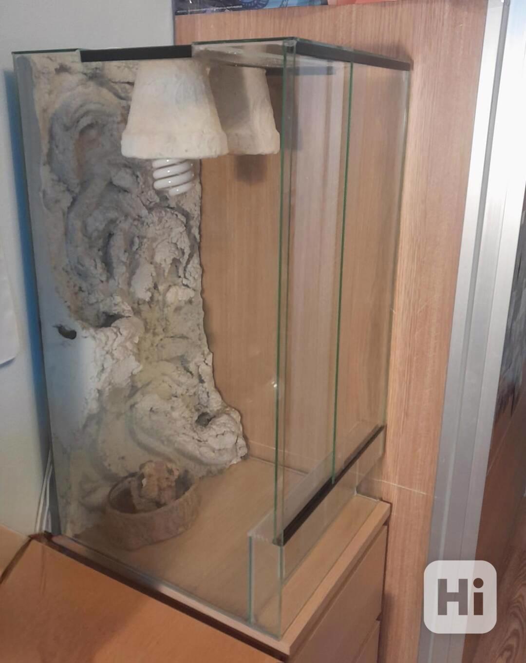 Terárium pro chameleona  - foto 1