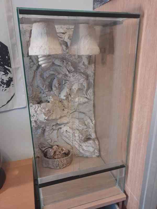 Terárium pro chameleona  - foto 2