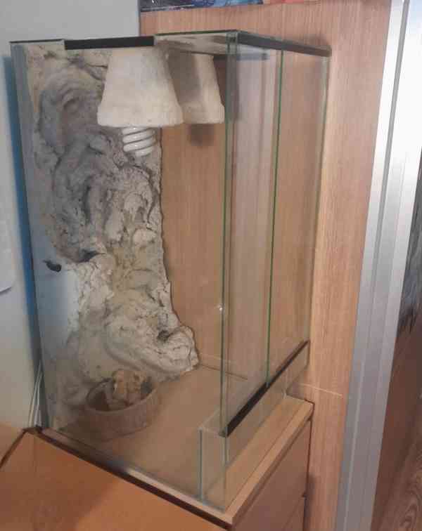 Terárium pro chameleona  - foto 1