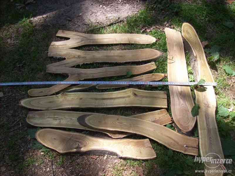 dekotativní dřevo škumpa orobincová, dřevo k dekoraci..... - foto 3