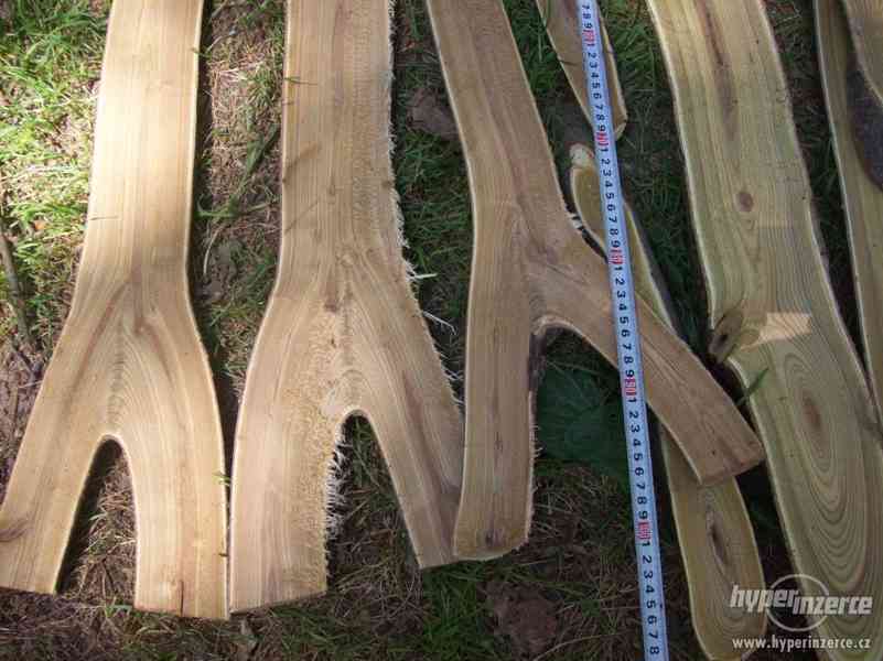 dekotativní dřevo škumpa orobincová, dřevo k dekoraci..... - foto 4