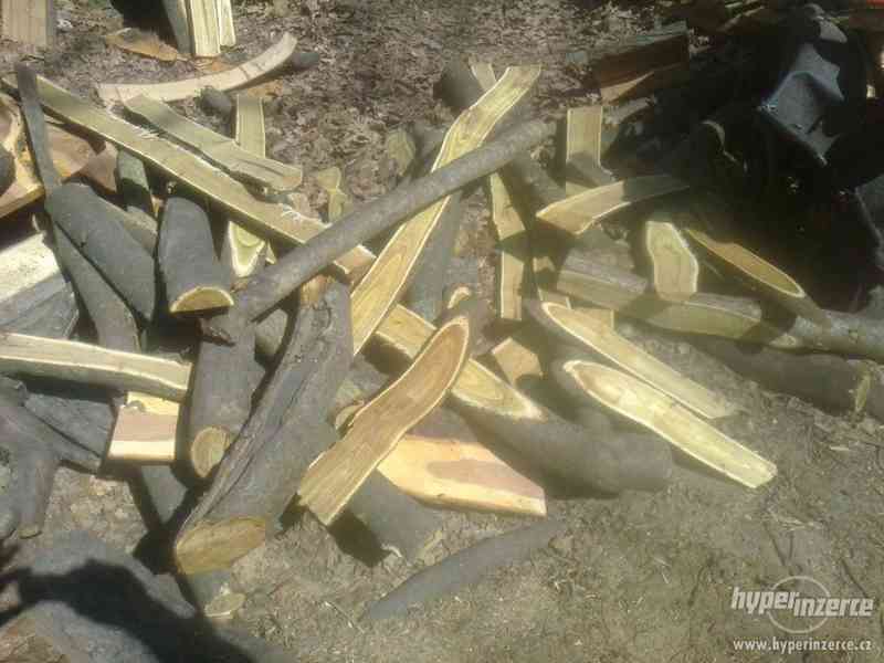dekotativní dřevo škumpa orobincová, dřevo k dekoraci..... - foto 5