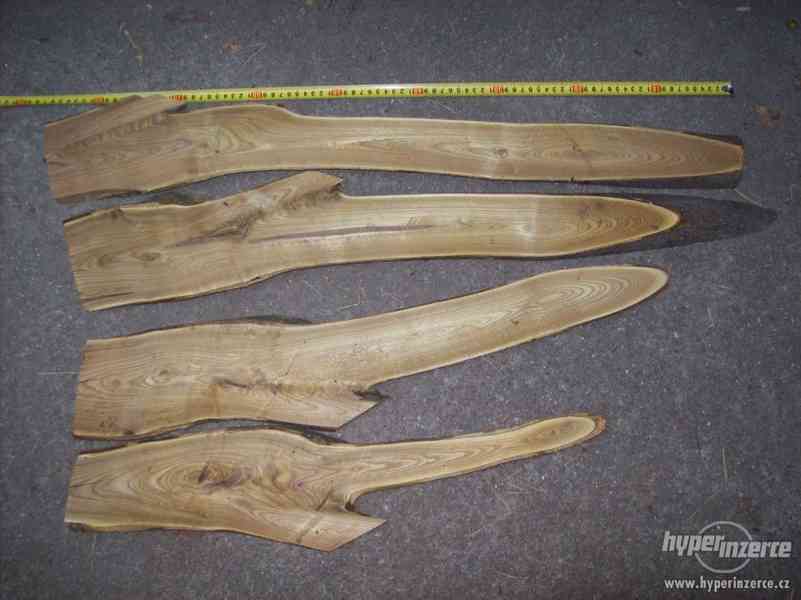 dekotativní dřevo škumpa orobincová, dřevo k dekoraci..... - foto 8