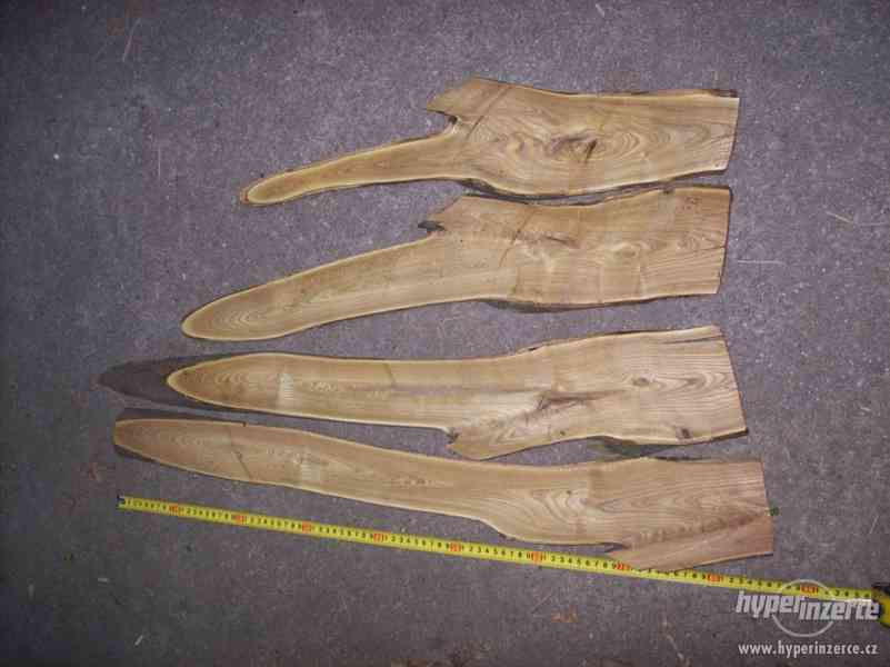 dekotativní dřevo škumpa orobincová, dřevo k dekoraci..... - foto 9