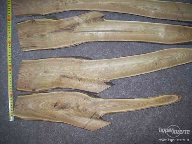 dekotativní dřevo škumpa orobincová, dřevo k dekoraci..... - foto 10