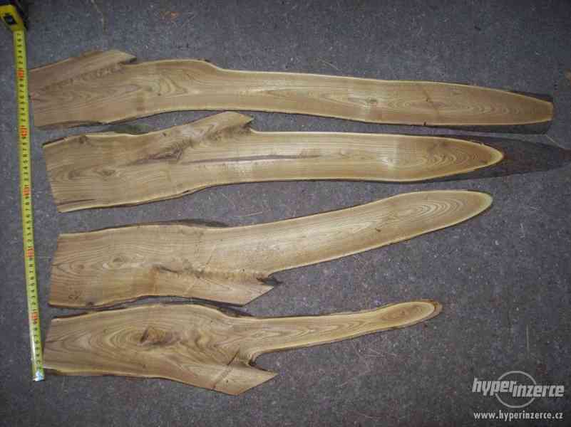 dekotativní dřevo škumpa orobincová, dřevo k dekoraci..... - foto 11