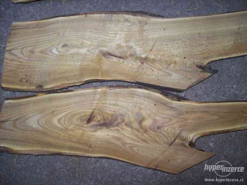 dekotativní dřevo škumpa orobincová, dřevo k dekoraci..... - foto 12