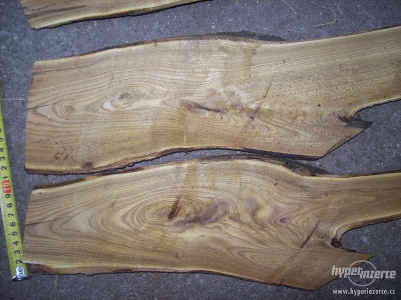 dekotativní dřevo škumpa orobincová, dřevo k dekoraci..... - foto 13